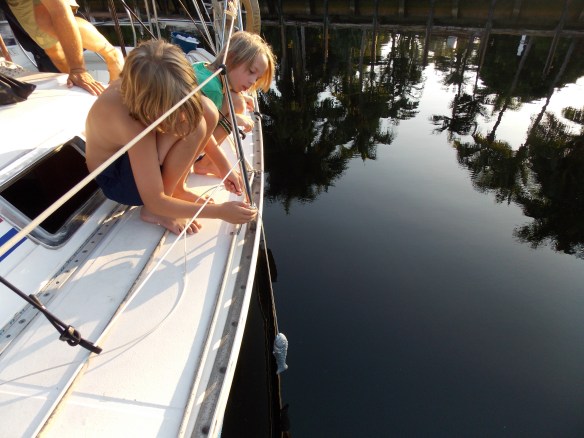 putting anode in water