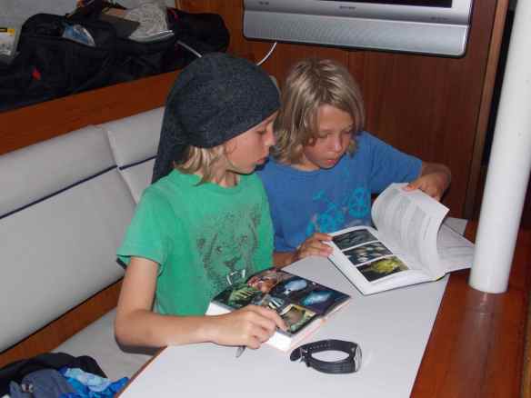After snorkeling, the boys (and us) head for the fish books to identify what knew sea life we saw.