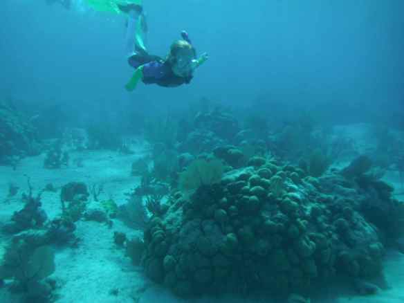 Cole snorkeling.