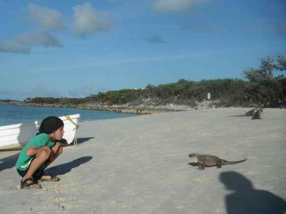 Cole with the iguanas.