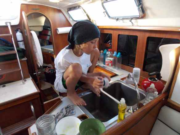 Cole's perch doing dishes.