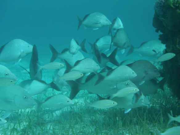 A different kind of school...