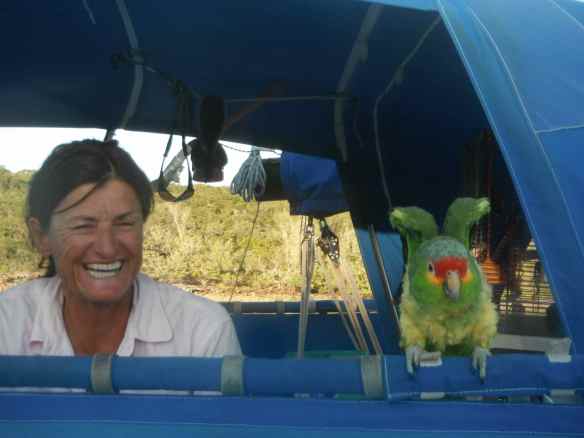 Another boat neighbor in the anchorage.