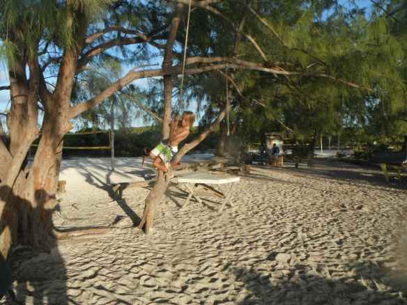 Cole swinging from a tree at Chat & Chill beach.