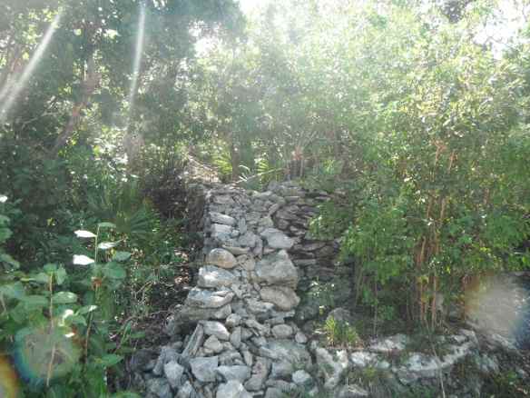 Livestock wall on Crab Cay.  We have seen these stone walls on a variety of Cays.  There has not been livestock on any of these islands for a long time.