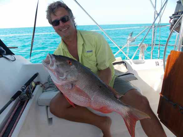 Mutton snapper!