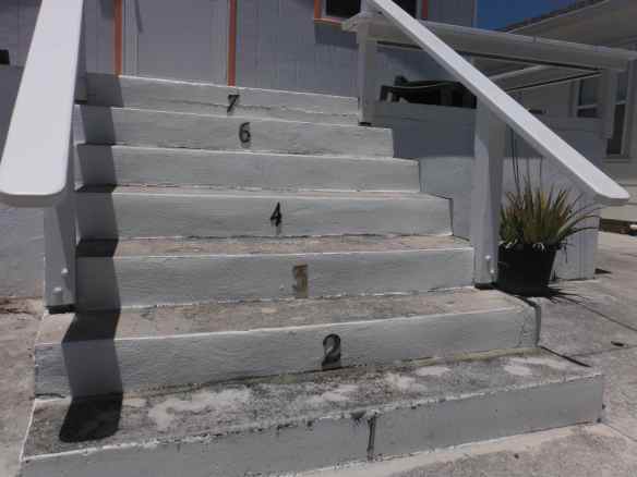 This cracked us up.  Any ideas on why someone would number their steps to their house?