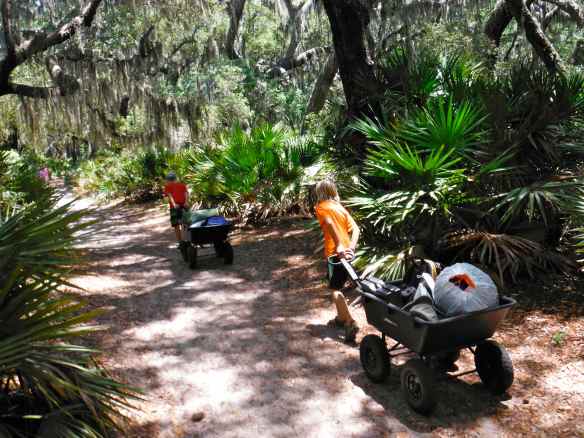Logan and Cole pulling their camping gear.