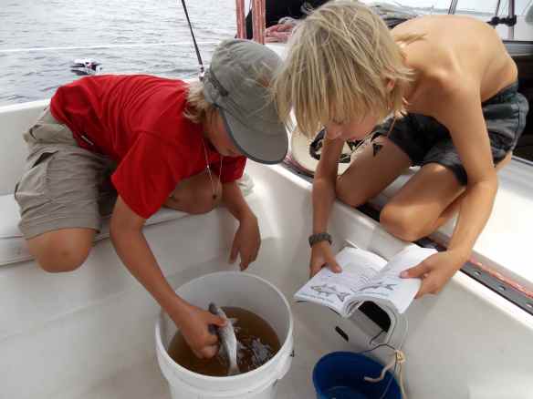 Logan holding the fish while Cole has the book out so they can identify it.