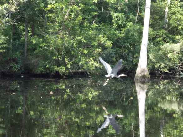 The scenery is amazing.