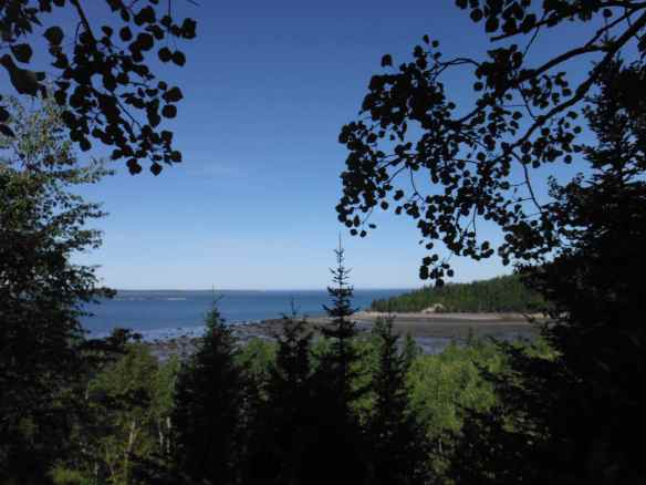 Overlooking the St. Lawrence seaway.  Not a palm tree in sight.