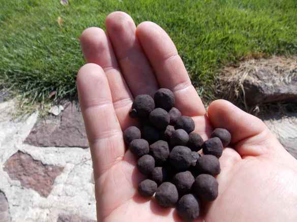 Handfull of taconite pellets.